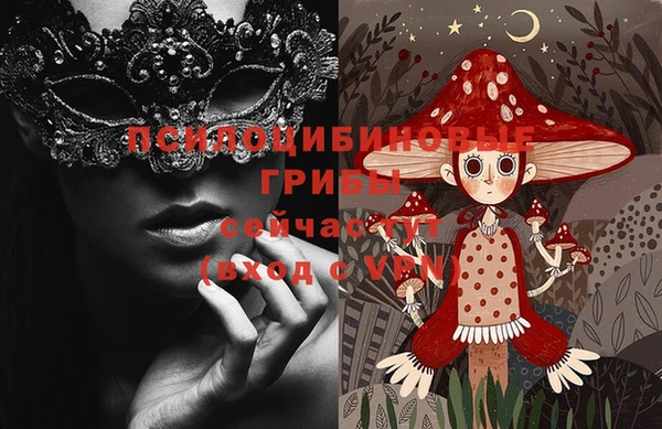 прущие крисы Алексин